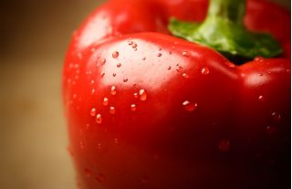Poivron - Iga - 60 graines - Capsicum L.