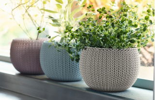 "Cozies Trio" Set aus drei Kräutertöpfen - ø 15 cm - Auswahl an Pastellfarben - 