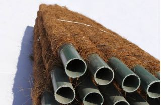 Coconut plant support stake - 32 mm / 100 cm