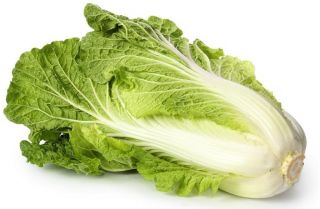 Kinakål - Bristol - 430 frø - Brassica pekinensis Rupr.