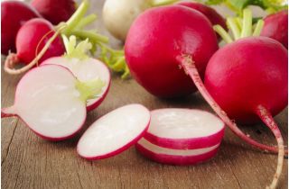 Radish "Rowa" - 425 de semințe - Raphanus sativus L.