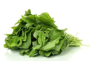 Oseille Commune - Rumex acetosa - Lyoński - 100 grammes - graines