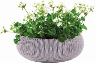 "Cozies" poco profundas, maceta baja - tazón - ø 54 cm - púrpura - 