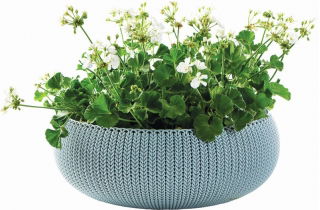 "Cozies" poco profunda, maceta baja - tazón - ø 54 cm - azul - 