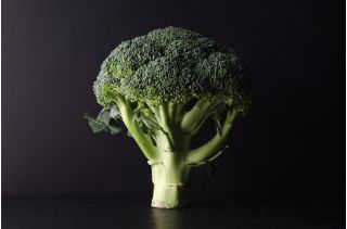 Chou Brocoli - Limba - Maturation précoce, croissance rapide, riche en vitamines - Graines fraîches