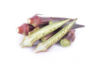 Okra 'Burgundy'; Gemüse-Eibisch