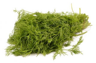 Endro de jardim "esmeralda" - 500 g - 