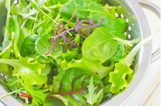 Frunze Semințe legume mixte - Fitness Mix - 