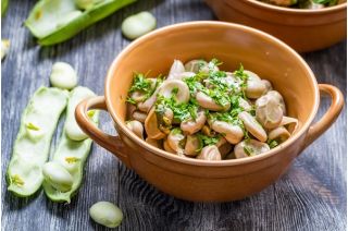 Broad Bean Bartek seeds - Vicia faba
