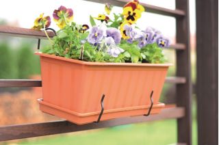 Metal hook for balcony planter boxes - Agrohang - Black