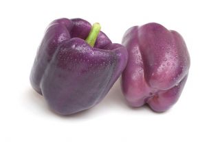 Paprika - Oda - sød - 80 frø - Capsicum L.