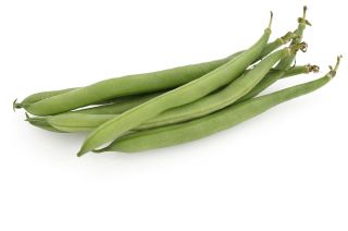 Kacang hijau, kacang Perancis "Malwina" - Phaseolus vulgaris L. - benih