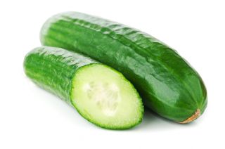 Gurke 'Olympus' - Freilandgurke 