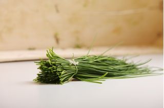 BIO - Chives - сертифицирани биологични семена - 850 семена - Allium schoenoprasum L.
