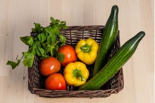 Cucumber "Telegraph Improved" - salad, extremely long - up to 40 cm - variety - 150 seeds
