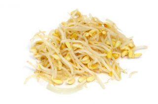 Semillas que brotan - Brotes ricos en vitamina A - Juego de 9 piezas + sprouter con 3 bandejas - 