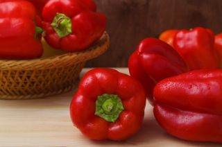 Spanskpepparsläktet – Libra - Capsicum annuum - Waga - frön