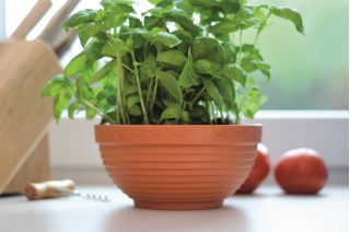 "Misa" shallow plant pot ø 13 cm - terracotta-coloured