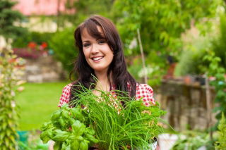 Aphrodisiac Herb seeds – 3 in 1