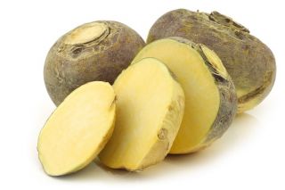 Nabicol - Wilhelmsburger Sator Otofte - 3500 semillas - Brassica napus L. var. Napobrassica