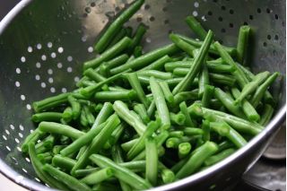 Buschbohne ‘Gracja’ Samen - Phaseolus vulgaris L. - 300 Samen -  