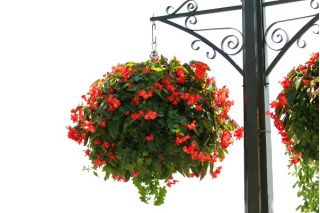 Hangende bloemenmand met kokosvezelmat - 40 cm - 