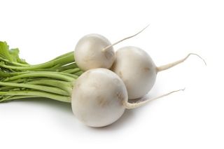 Hónapos retek – Snowball - fehér - 850 magok - Raphanus sativus L.