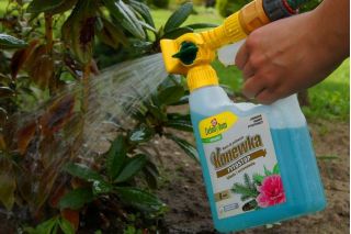 Fytostop - reduz os sintomas da fitoforose - Zielony Dom® - 950 ml - 