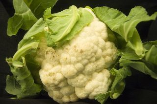 Cavolfiore - Rober - 270 semi - Brassica oleracea L. var.botrytis L.
