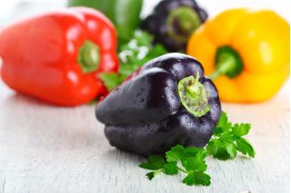 Paprika gemengde zaden - Capsicum annuum