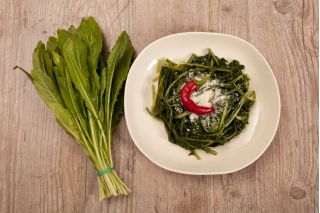 Cicoare "Spadona"; Radicchio - 2880 de semințe - Cichorium intybus ‘Spadona'