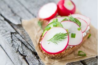 Radish "Rowa" - 425 de semințe - Raphanus sativus L.