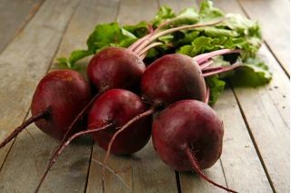 Củ cải đường "Astar" - lý tưởng cho nước ép và cô đặc - 500 hạt - Beta vulgaris