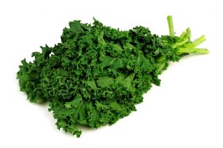 Kale - Kadet - Tall, Curled, Frost-Hardy Leaves - Fresh Seeds
