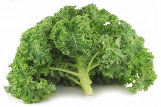 Kale "Vitessa" - pale green, medium tall - 600 seeds