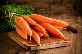 Carota - Olympus - Raccolto tardivo, croccante e dolce da conservare - Semi Freschi