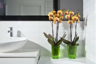 Vierkante bloempot - Finezja - 12,5 cm - Transparant groen - 