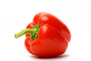 Poivron - Iga - 60 graines - Capsicum L.