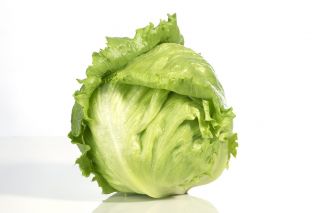 Alface Iceberg - Goplana - 450 sementes - Lactuca sativa L.