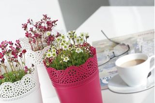 Ronde bloempot met kant - 11 cm - Kant - Wit - 