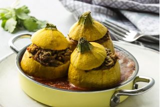 Zucchini "One Ball F1" - 8 hạt - Cucurbita pepo 