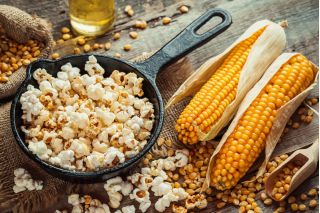 Mais "Flame" - per popcorn - 100 semi - Zea mays ssp. Everta