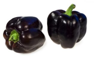 Paprikat - Sweet Chocolate - makea - 75 siemenet - Capsicum L.