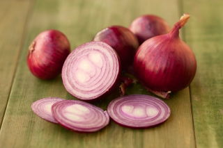 Лук репчатый - Wenta - 750 семена - Allium cepa L.