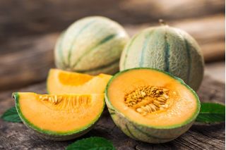 Melon - Bosman - Cucumis melo L. - frø