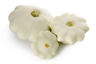 Pattypan kabağı "Orfeus" - 36 tohum - Cucurbita pepo var. Patisoniana - tohumlar
