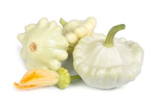 Pattypan kabağı "Orfeus" - 36 tohum - Cucurbita pepo var. Patisoniana - tohumlar