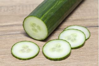 Cucumber "Telegraph Improved" - salad, extremely long - up to 40 cm - variety - 150 seeds