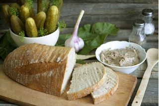 Cetriolo - Śremski F1 - Semi confettati - Freschezza succosa, resa elevata
