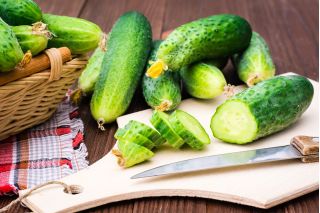Gurka - Victoria F1 - 175 frön - Cucumis sativus